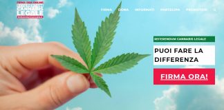 Referendum Cannabis sito