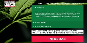 Referendum Cannabis