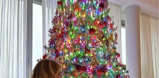 Natale 2021 alberi vip - Free.it