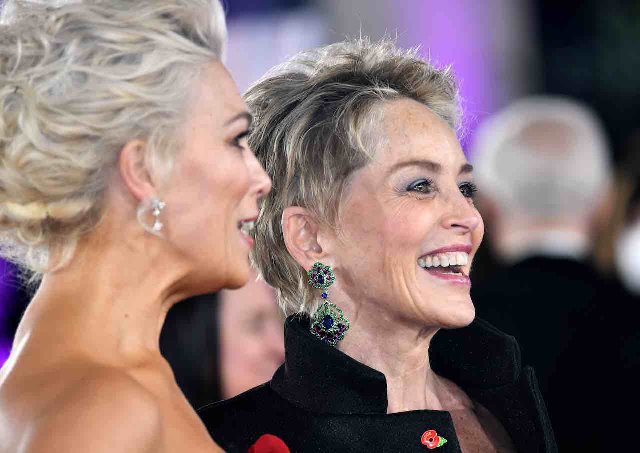 Sharon Stone fan in ansia (Getty Images)