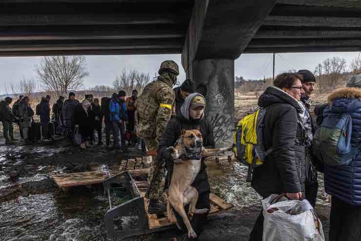 Guerra Ucraina