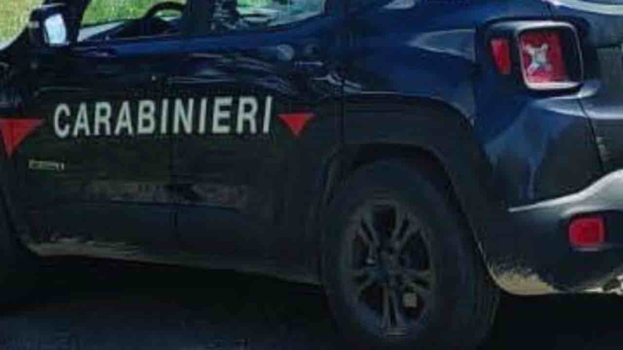 Bimbo due anni investito e ucciso dall'automobile del padre 