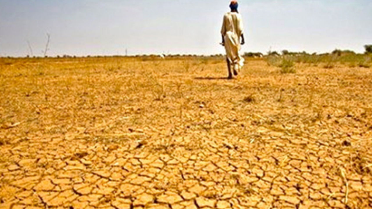 ucraina grano crisi alimentare fao