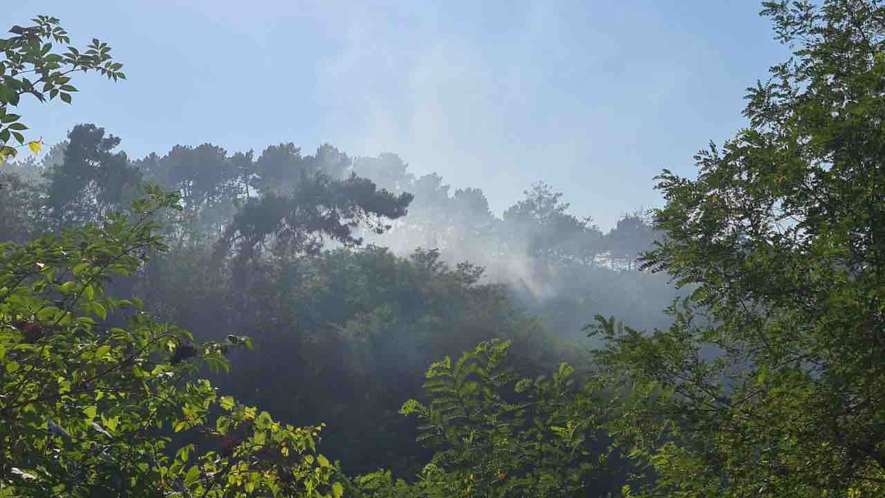 Incendi in Versilia danni