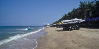 Allarme tra i turisti per un cadavere in spiaggia, ma la verità è un'altra