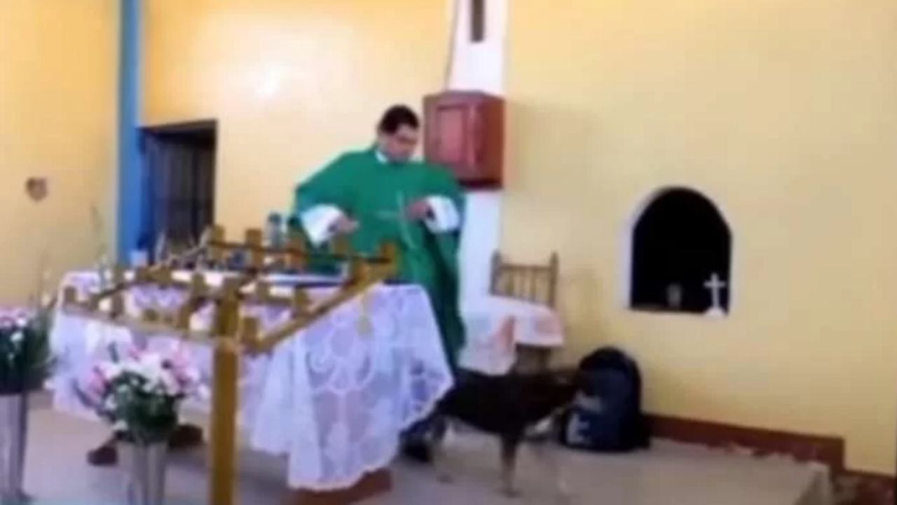 sacerdote cane