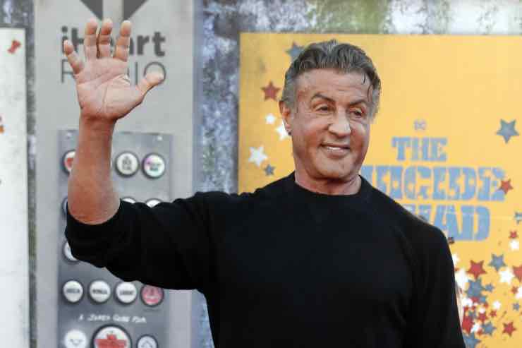 Stallone Rocky