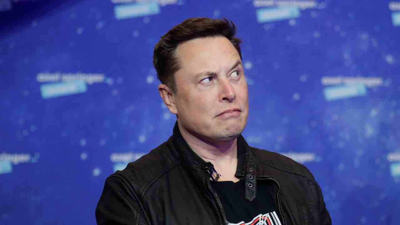 Mastodon minaccia Twitter preoccupazione Elon Musk