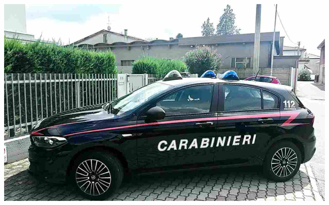 Bimba di 4 anni uccisa da un'auto, era sul cancello di casa | Cosa è ...