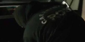 Ross arrestano 11 persone per ?ndrangheta