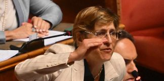 Giulia Bongiorno stalker