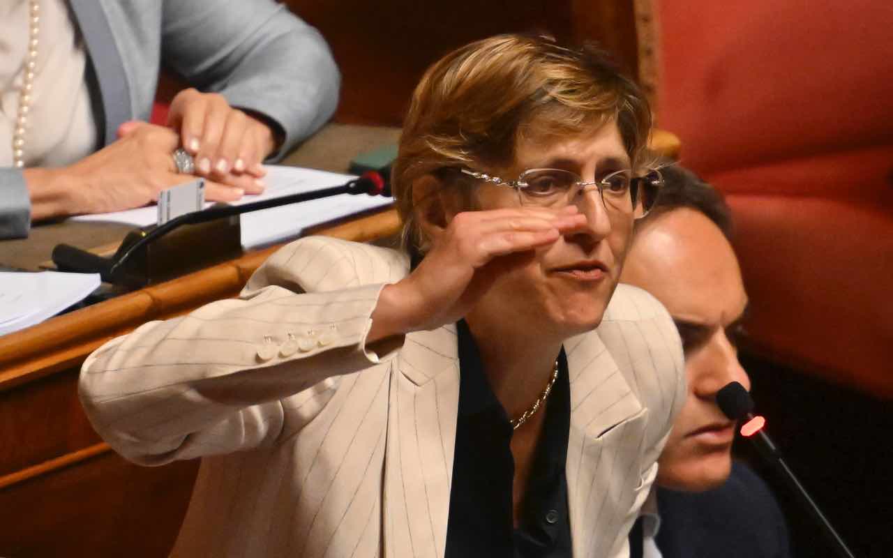 Giulia Bongiorno stalker