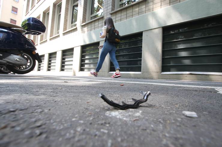 Trans arresto Milano