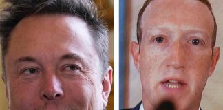 Musk Zuckerberg