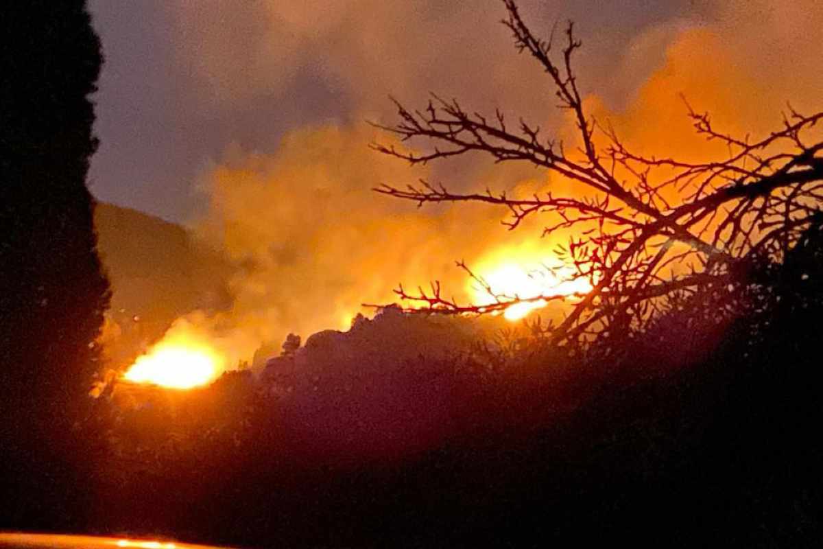 Fiamme isola d'Elba