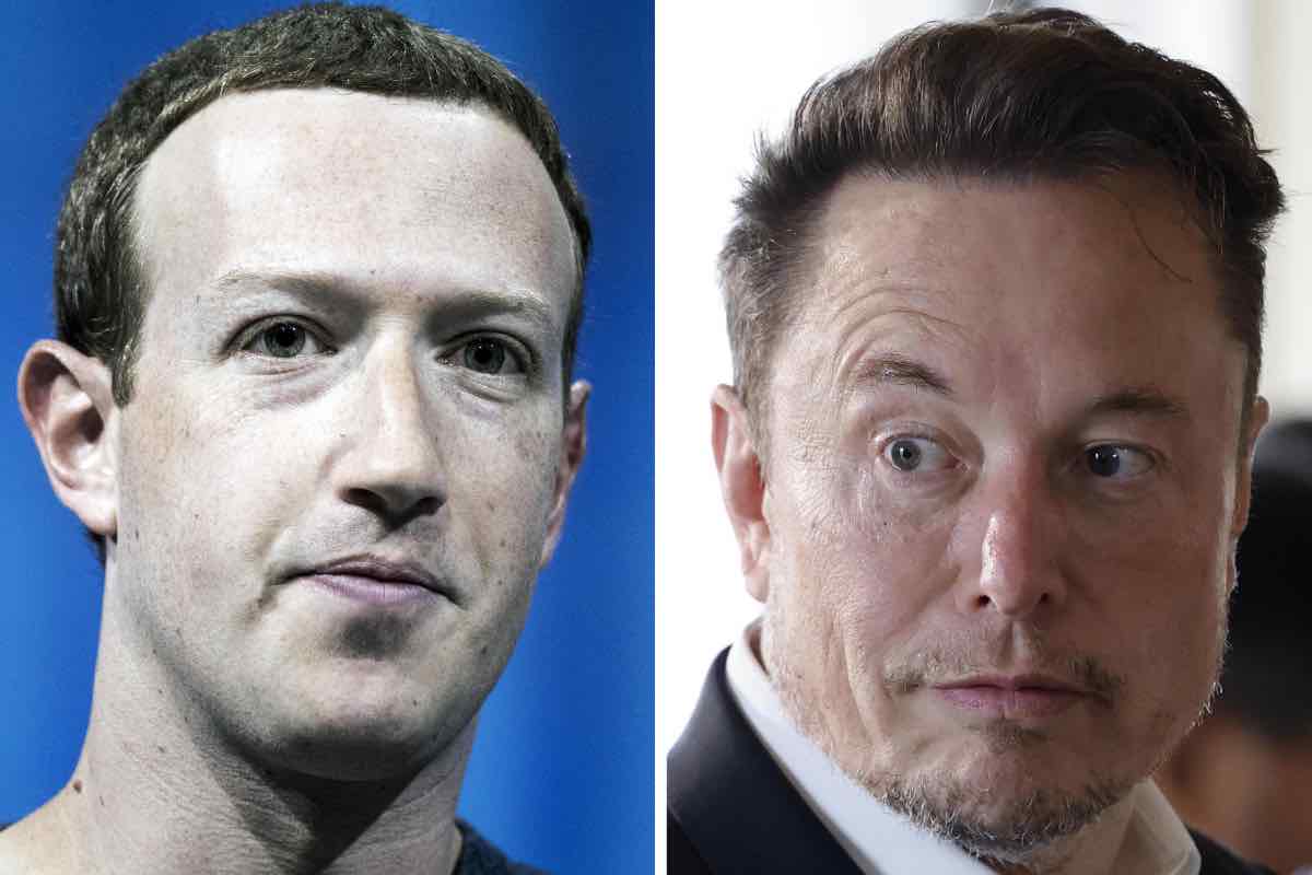 Musk Zuckerberg 