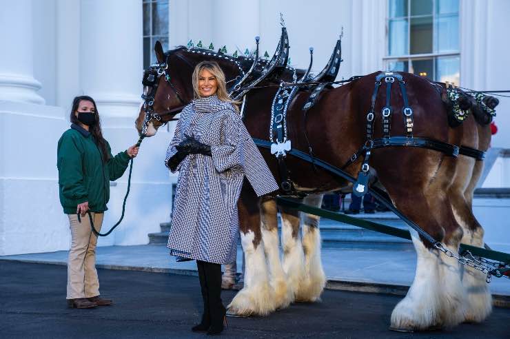 Melania Trump Donald