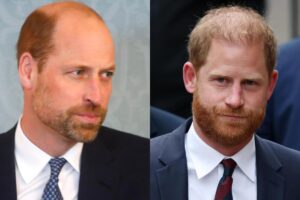 Principe Harry e principe William