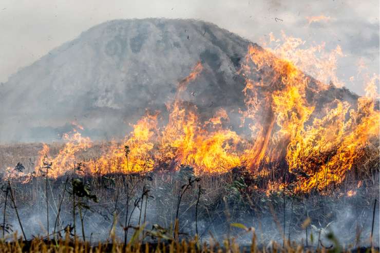 Bosco sotto un vulcano che va a fuoco a causa della siccità