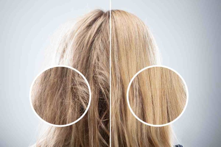 Capelli rovinati e capelli sani