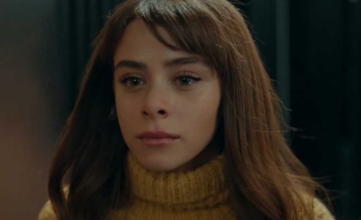 ela di innocence