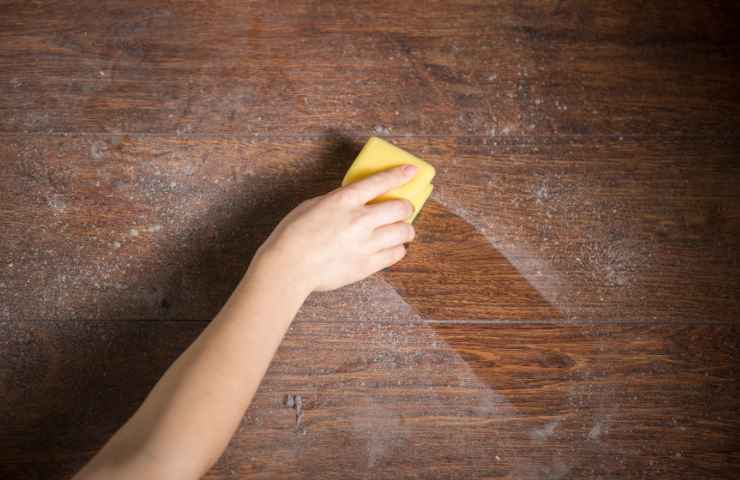 donna rimuovere polvere dal legno