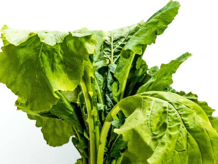 Cime di rapa