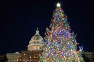 Albero di Natale illuminati di fianco al Campidoglio