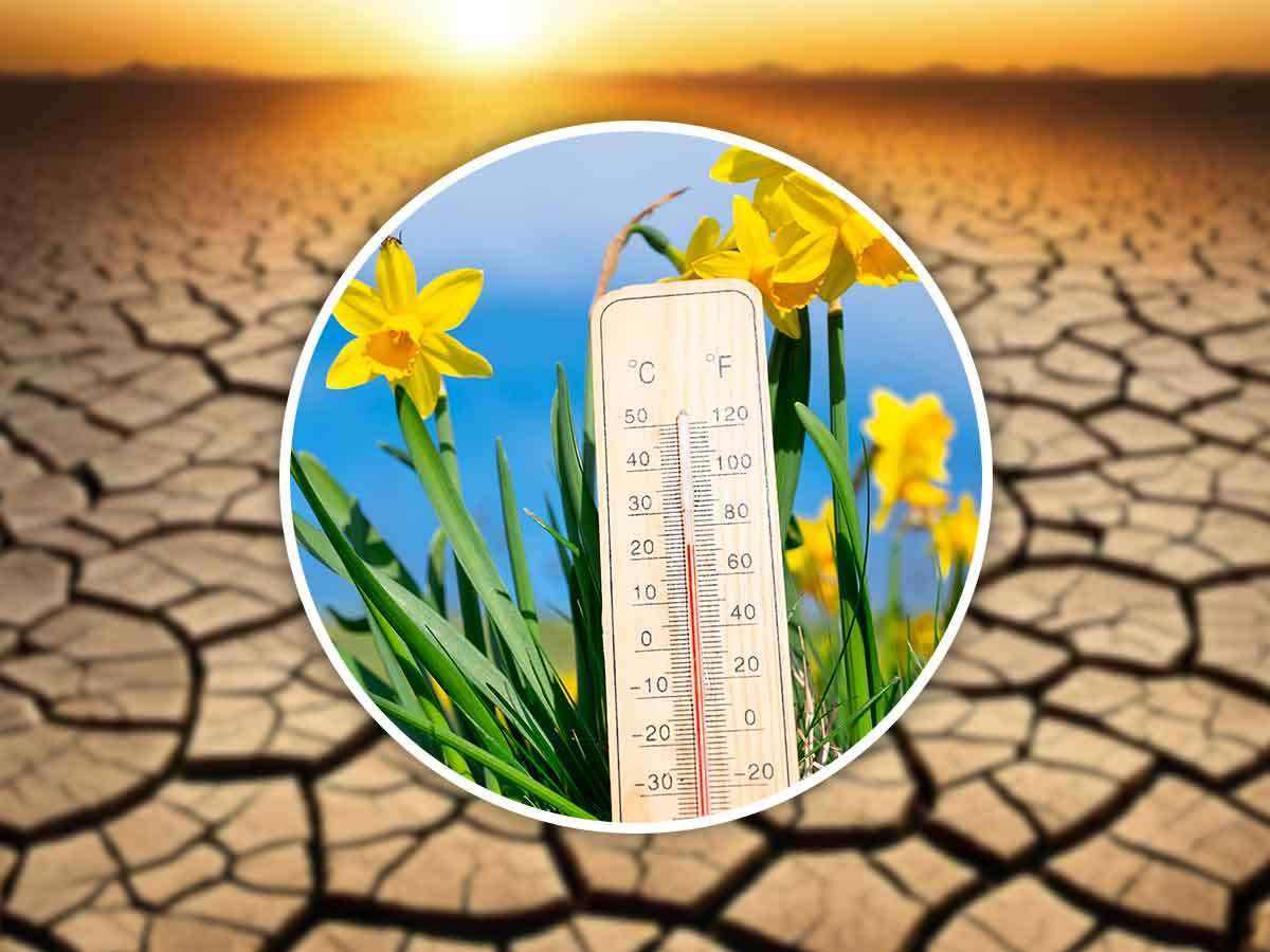 Caldo africano