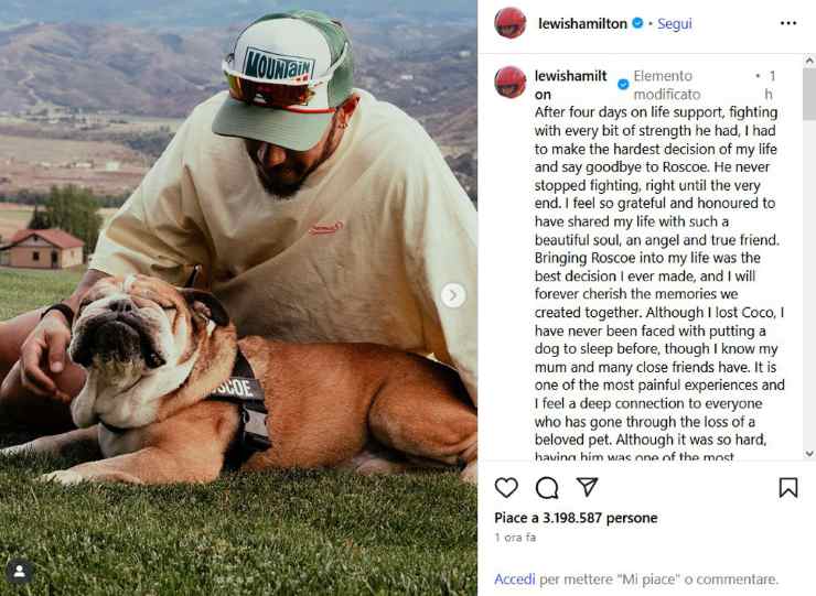 Post Instagram di Lewis Hamilton per il cane Roscoe